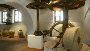 Riviera dei Fiori - Museo dell'Olivo